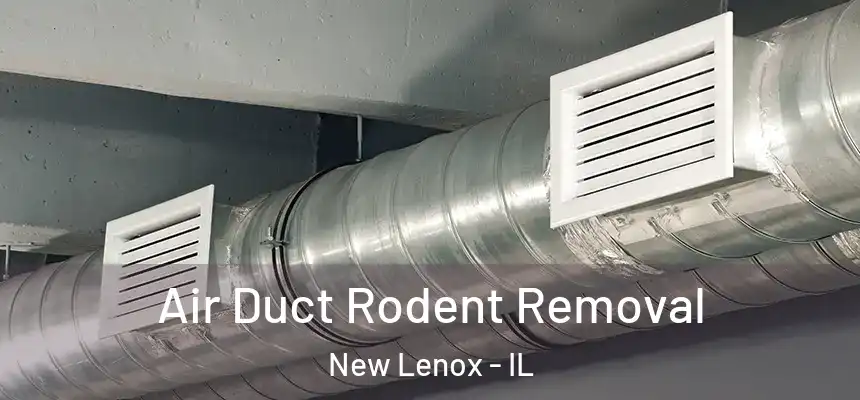  Air Duct Rodent Removal New Lenox - IL