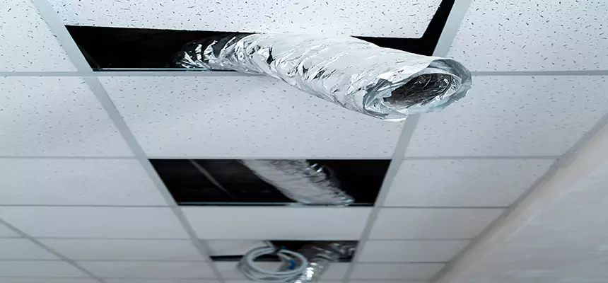 Our Air Duct Pet Hair Removal Services in New Lenox, IL