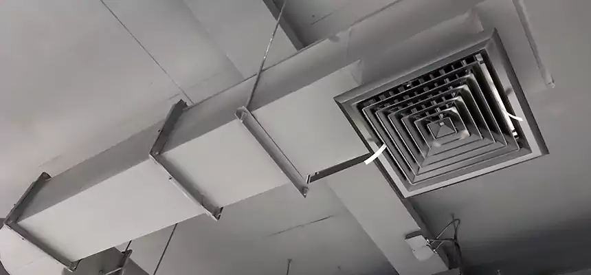 Our Pest Removal From Ducts Services in New Lenox, IL