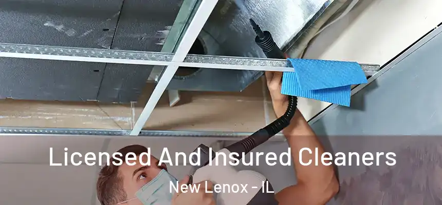  Licensed And Insured Cleaners New Lenox - IL