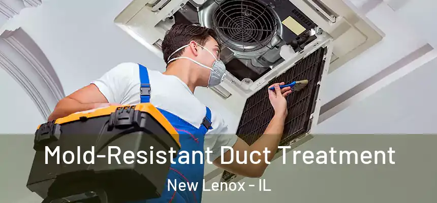 Mold-Resistant Duct Treatment New Lenox - IL