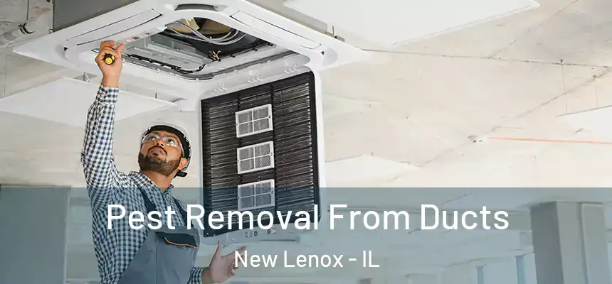  Pest Removal From Ducts New Lenox - IL