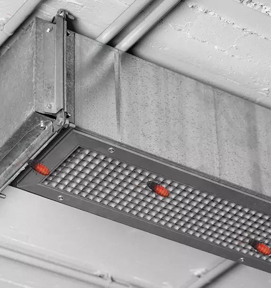 About Air Duct Cockroach Removal in New Lenox, IL