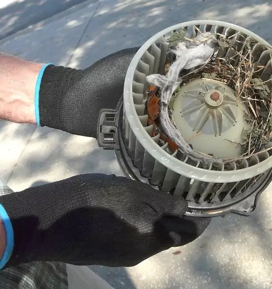 About Air Duct Mice Removal in New Lenox, IL