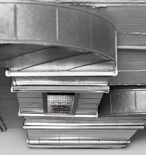 Professional Air Duct Pest Removal in New Lenox, IL