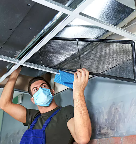 Professional Air Duct Pollen Cleaning in New Lenox, IL