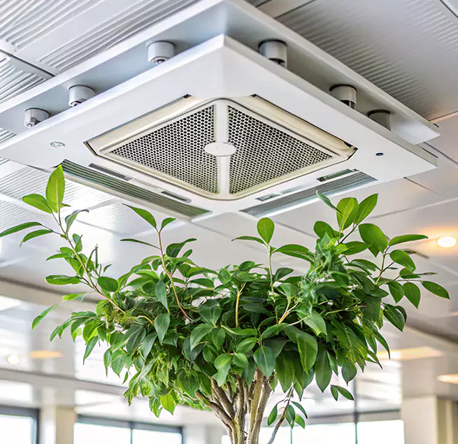 Why Homeowners & Businesses Trust Us in New Lenox, IL?