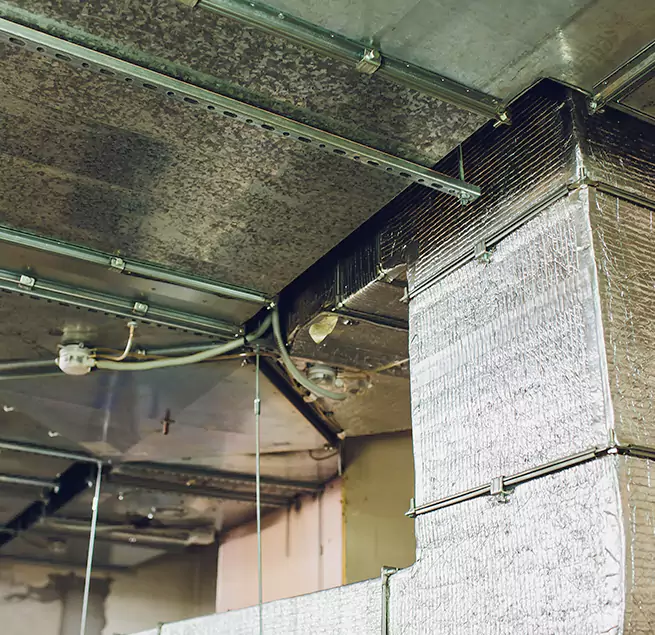 Why Homeowners & Businesses Trust Us in New Lenox, IL?